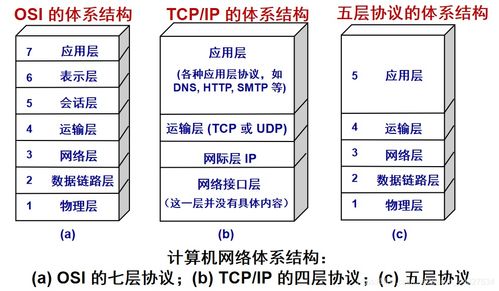 計(jì)算機(jī)網(wǎng)絡(luò)體系結(jié)構(gòu)解析 OSI與TCP/IP分層模型及其在計(jì)算機(jī)系統(tǒng)服務(wù)中的應(yīng)用